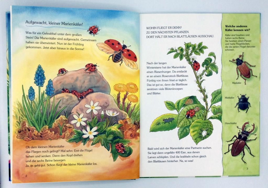 Bild: 9783401095493 | Der kleine Marienkäfer und die Tiere auf der Wiese | Buch | Audio-CD