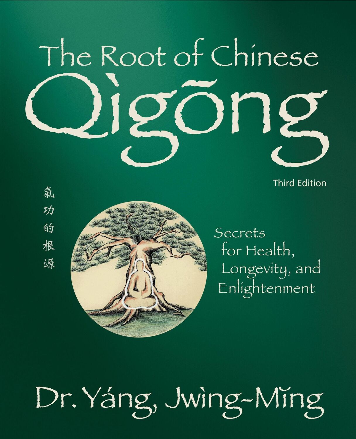 Cover: 9781594399107 | The Root of Chinese Qigong | Jwing-Ming Yang | Taschenbuch | Englisch