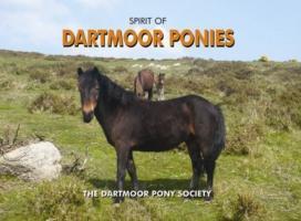Cover: 9781906887230 | Dartmoor Pony Society: Spirit of Dartmoor Ponies | Society | Buch