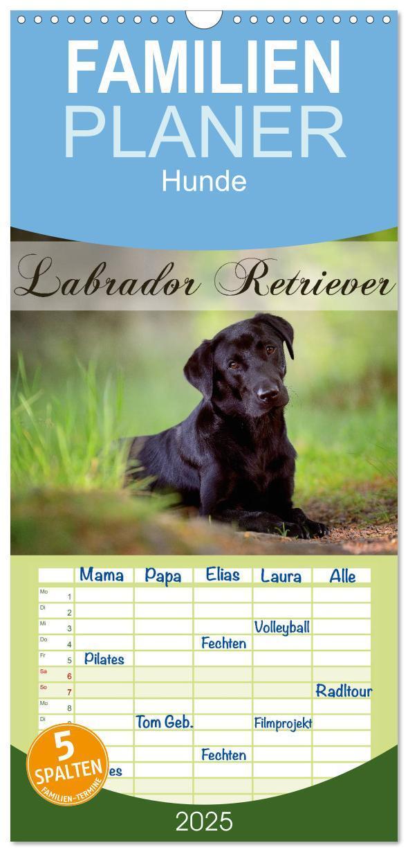 Cover: 9783457124079 | Familienplaner 2025 - Labrador Retriever mit 5 Spalten...