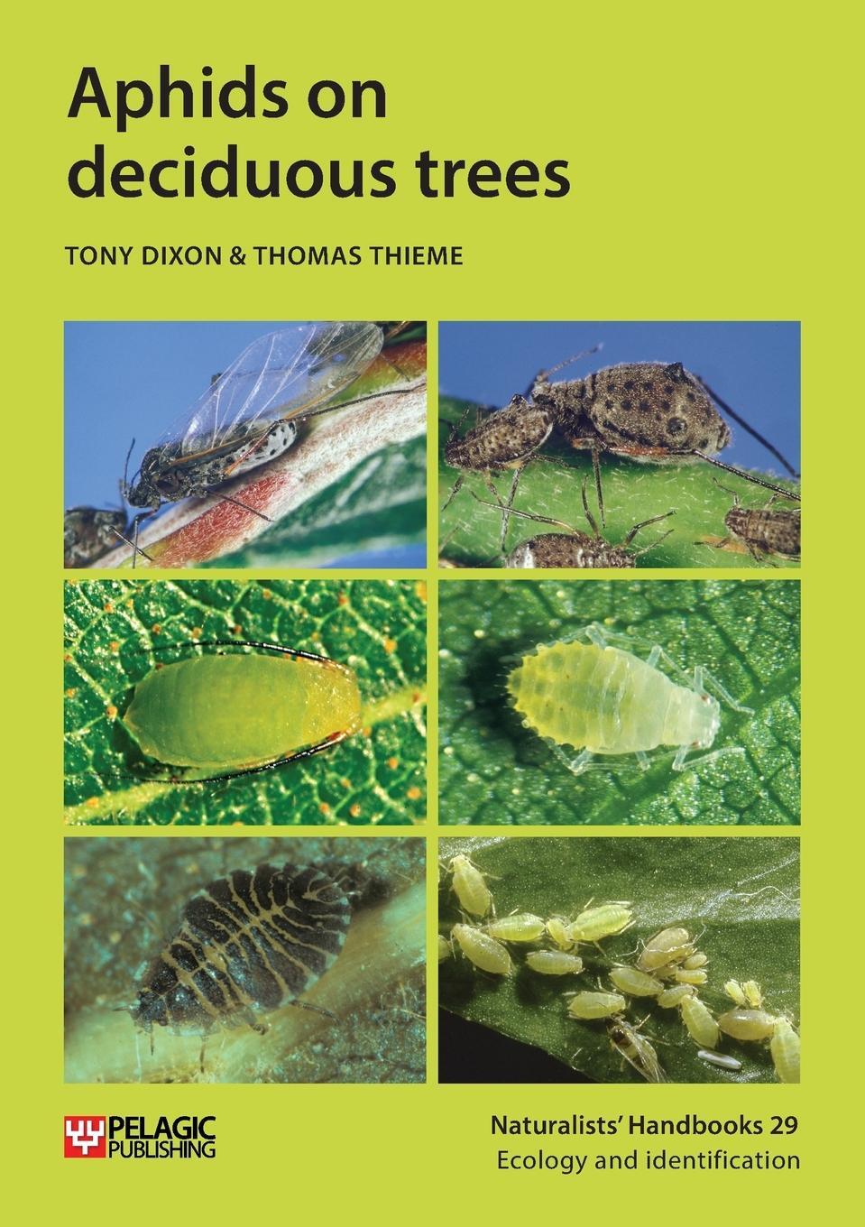 Cover: 9781784272104 | Aphids on deciduous trees | Thomas Thieme | Taschenbuch | Paperback