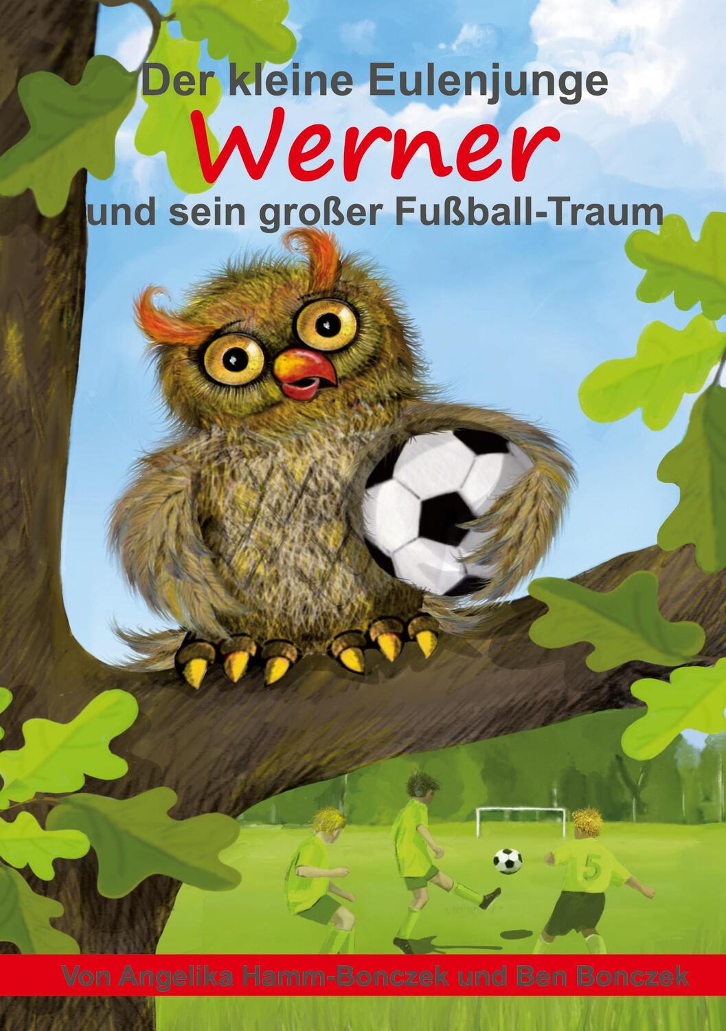 Cover: 9783347321465 | Der kleine Eulenjunge Werner und sein großer Fußball-Traum | Buch