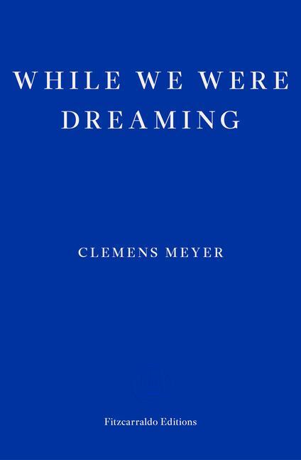 Cover: 9781804270288 | While We Were Dreaming | Clemens Meyer | Taschenbuch | 608 S. | 2023