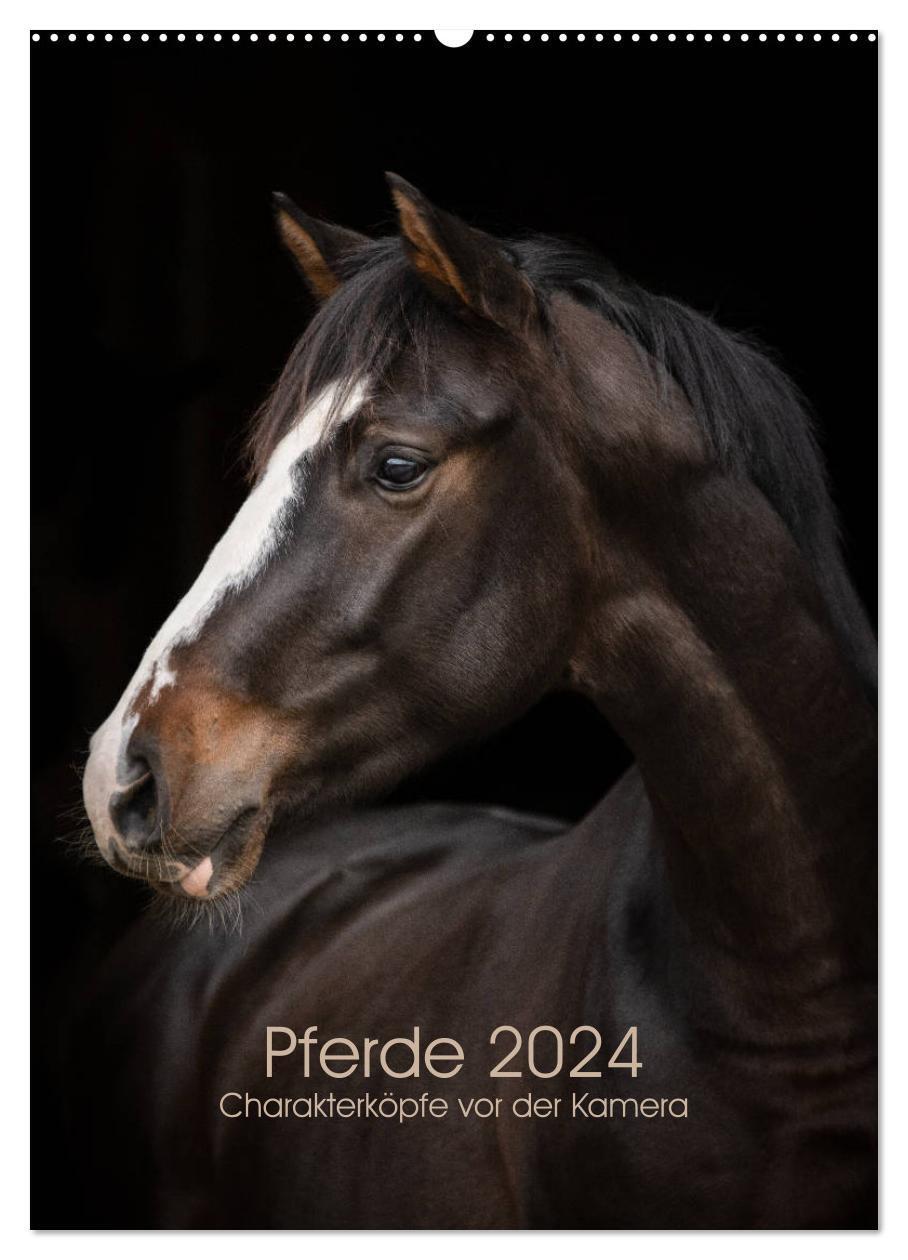 Cover: 9783675680524 | Pferde 2024 - Charakterköpfe vor der Kamera (Wandkalender 2024 DIN...