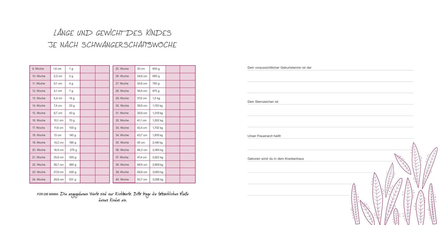 Bild: 9788863125160 | Meine Schwangerschaft | Das Tagebuch für 9 einzigartige Monate | Buch