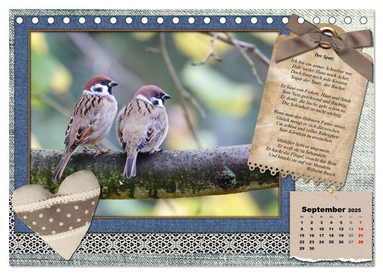 Bild: 9783435081905 | Der poetische Vogelkalender (Tischkalender 2025 DIN A5 quer),...