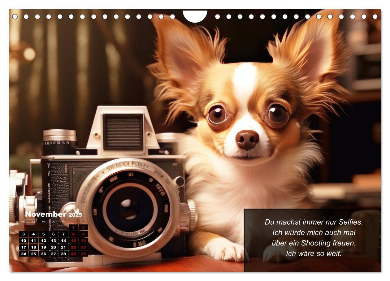 Bild: 9783457129388 | Lustige Chihuahua-Momente (Wandkalender 2025 DIN A4 quer), CALVENDO...