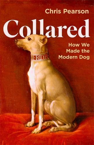 Cover: 9781800816411 | Collared | How We Made the Modern Dog | Chris Pearson | Buch | 2024