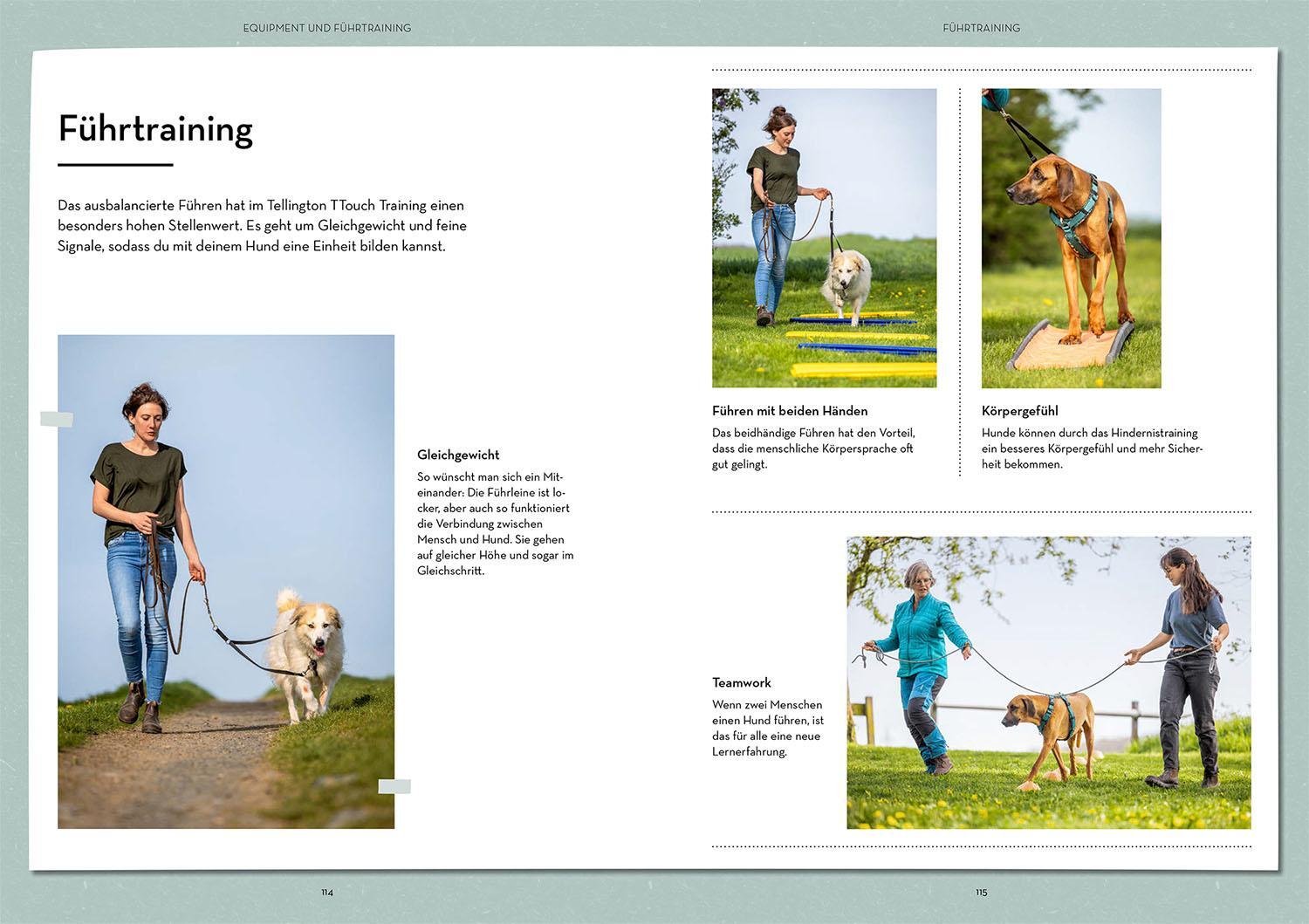 Bild: 9783440180402 | Tellington-Training für Hunde | Linda Tellington-Jones | Taschenbuch