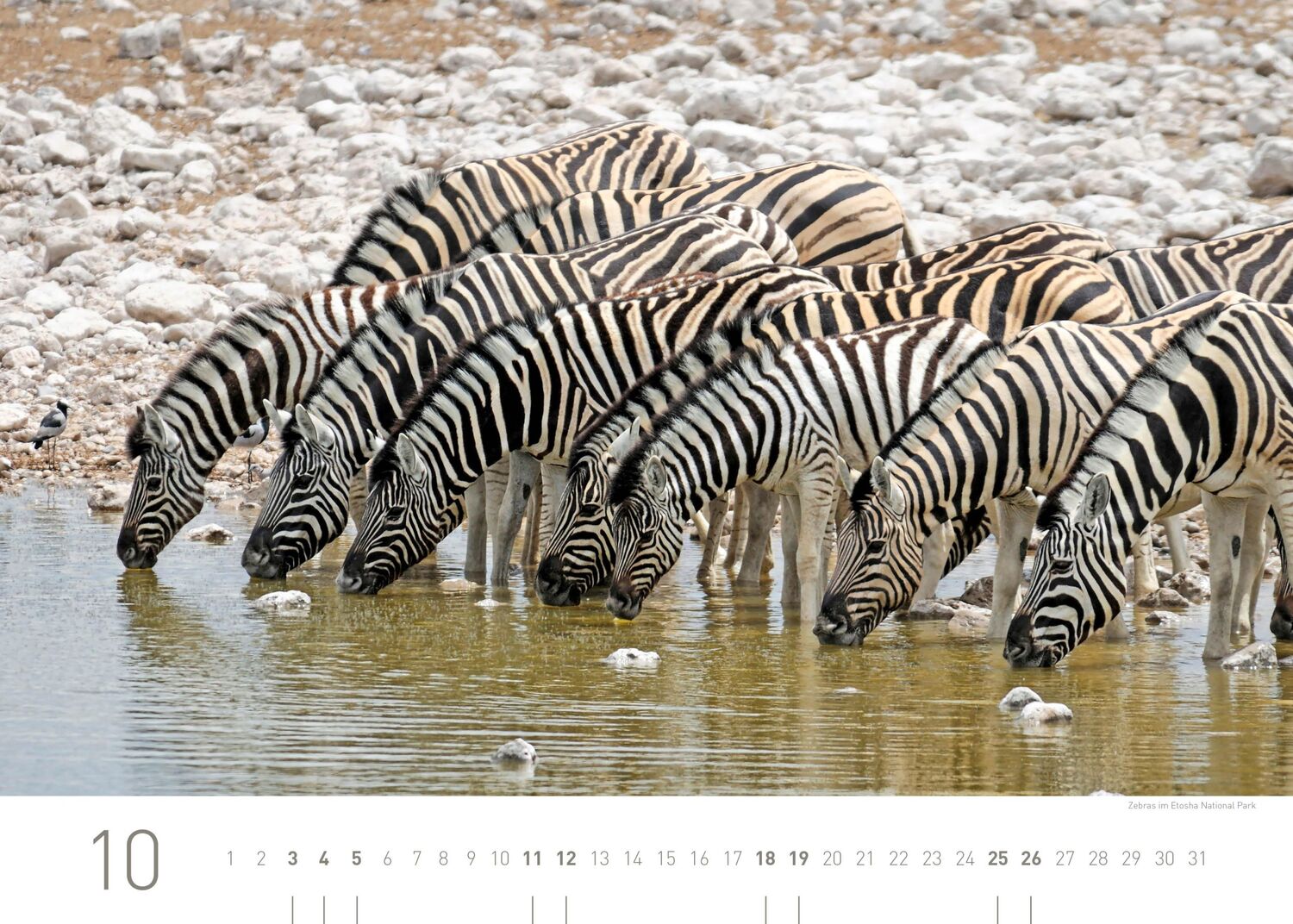 Bild: 9783968555546 | 360° Namibia Exklusivkalender 2025 | Christian Heeb | Kalender | 13 S.