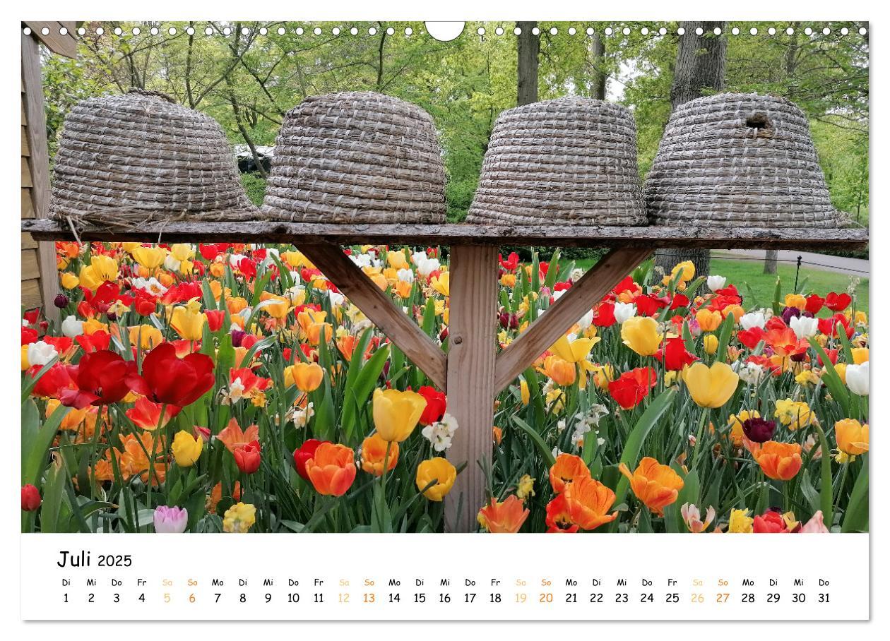 Bild: 9783383924354 | Auf Tour im Land der Tulpen (Wandkalender 2025 DIN A3 quer),...