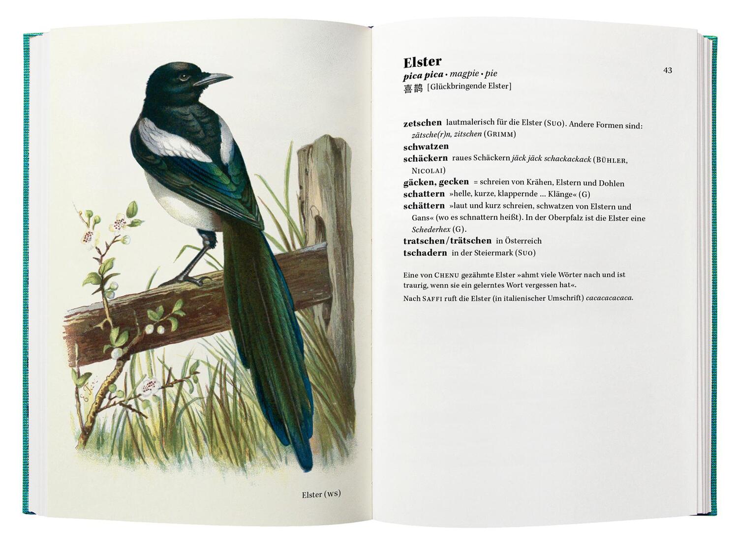 Bild: 9783957573933 | Singt der Vogel, ruft er oder schlägt er? | Peter Krauss | Buch | 2017