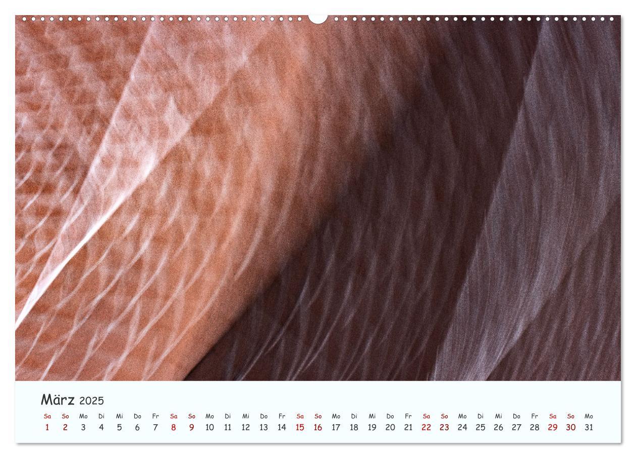 Bild: 9783383960819 | Farbgrafik - Die Schönheit der abstrakten Fotografie (Wandkalender...