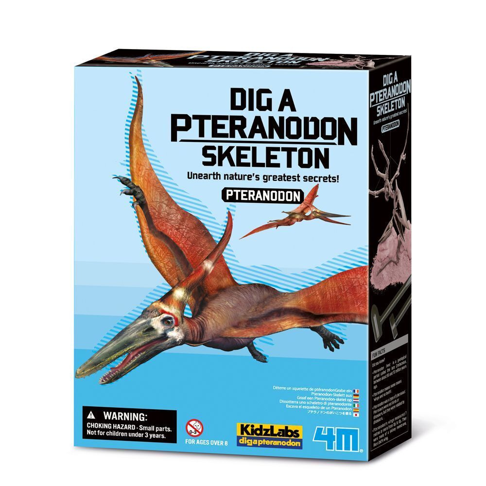 Cover: 4893156034595 | KidzLabs - Dinosaurier Ausgrabung Pteranodon | Spiel | Karton