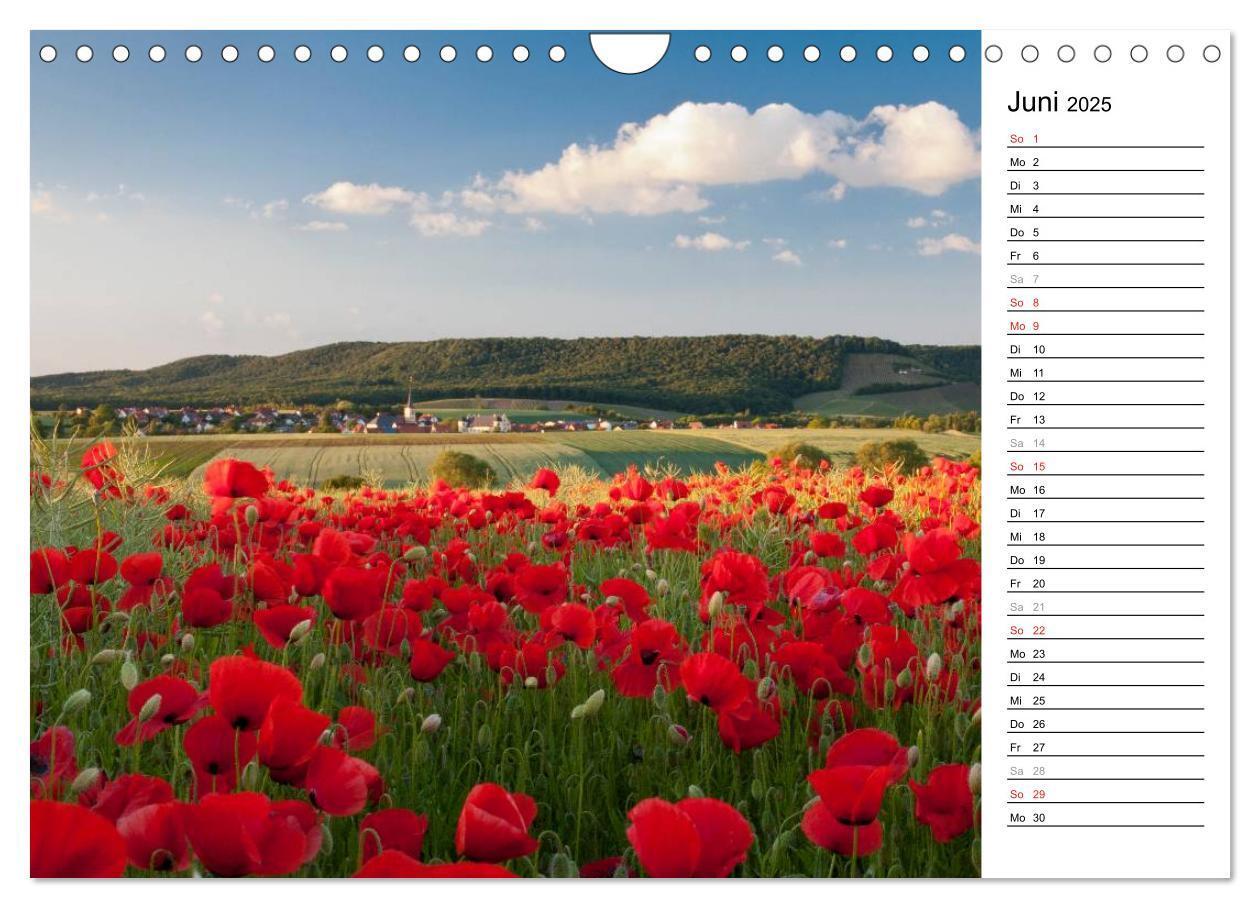 Bild: 9783435542482 | DER STEIGERWALD - Impressionen einer Landschaft (Wandkalender 2025...