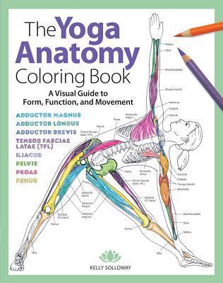 Cover: 9781640210219 | The Yoga Anatomy Coloring Book | Kelly Solloway | Taschenbuch | 2018