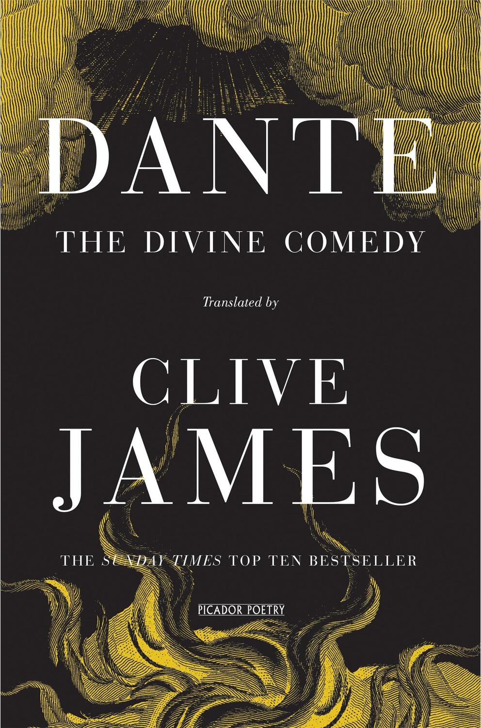 Cover: 9781447244226 | The Divine Comedy | Clive James (u. a.) | Taschenbuch | Englisch