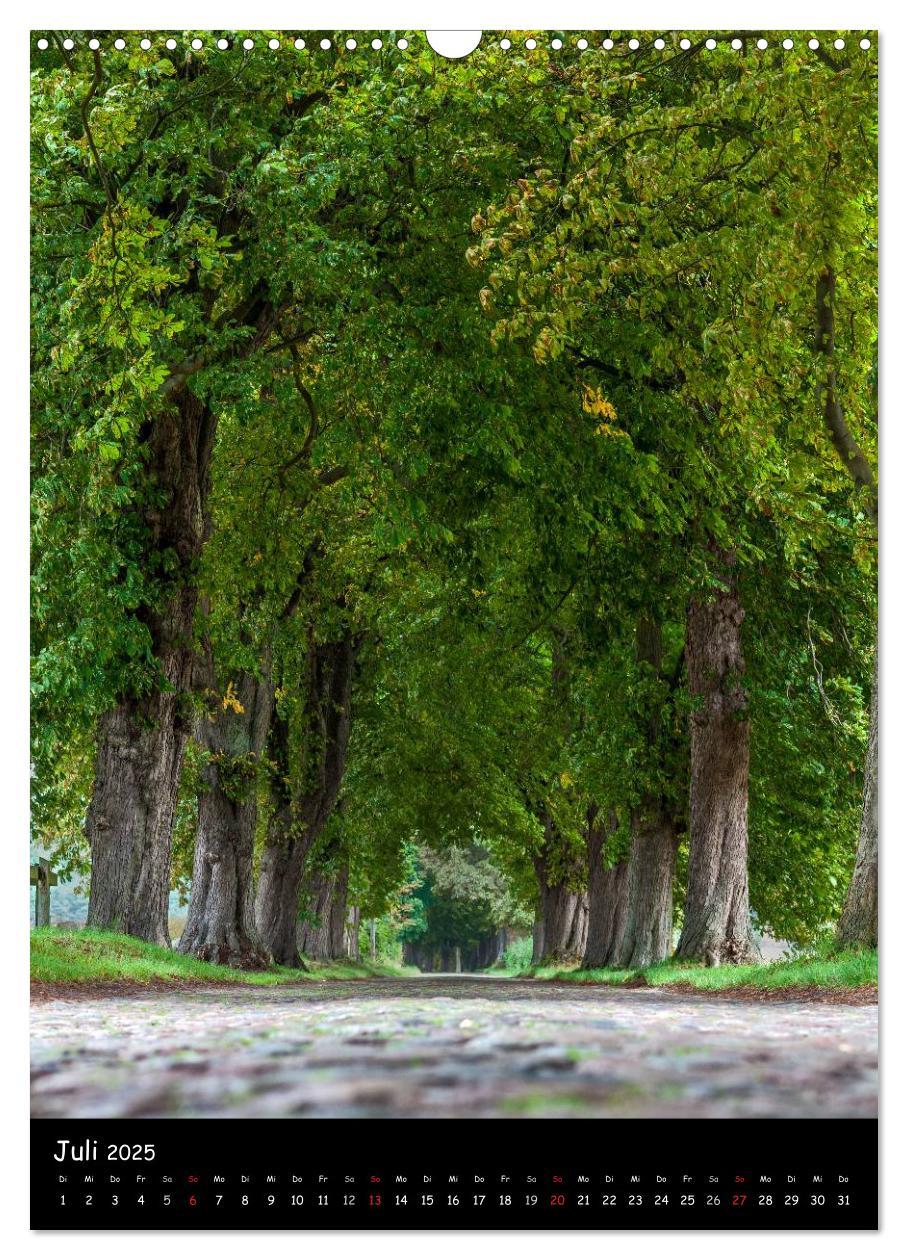 Bild: 9783457063064 | Rügen Sichtweisen (Wandkalender 2025 DIN A3 hoch), CALVENDO...