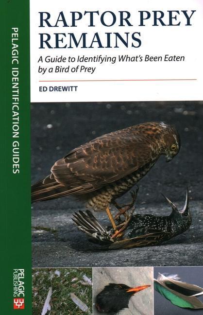 Cover: 9781784272074 | Raptor Prey Remains: A Guide to Identifying What's Been Eaten by a...