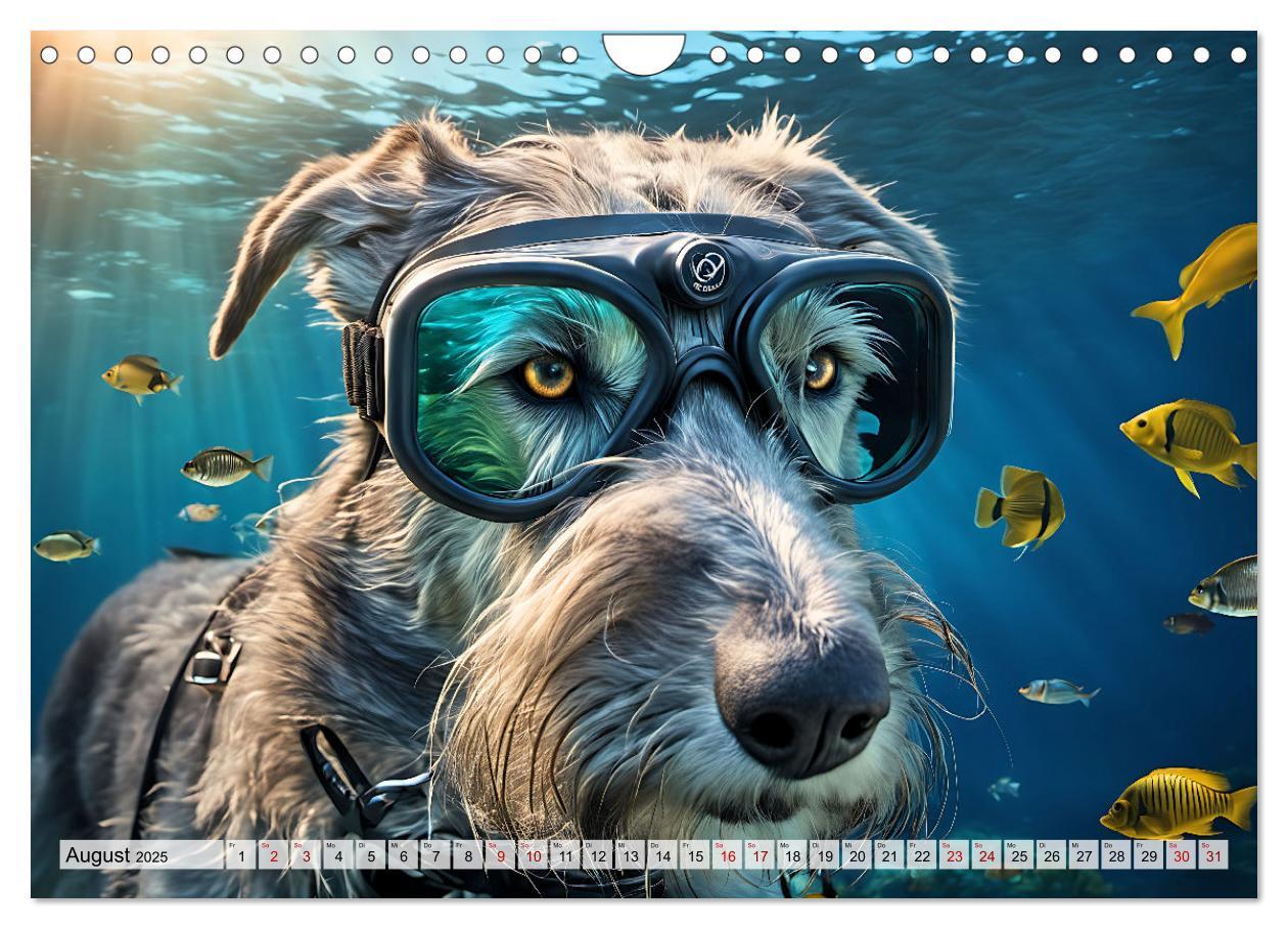 Bild: 9783383845116 | Hunde abgetaucht (Wandkalender 2025 DIN A4 quer), CALVENDO...