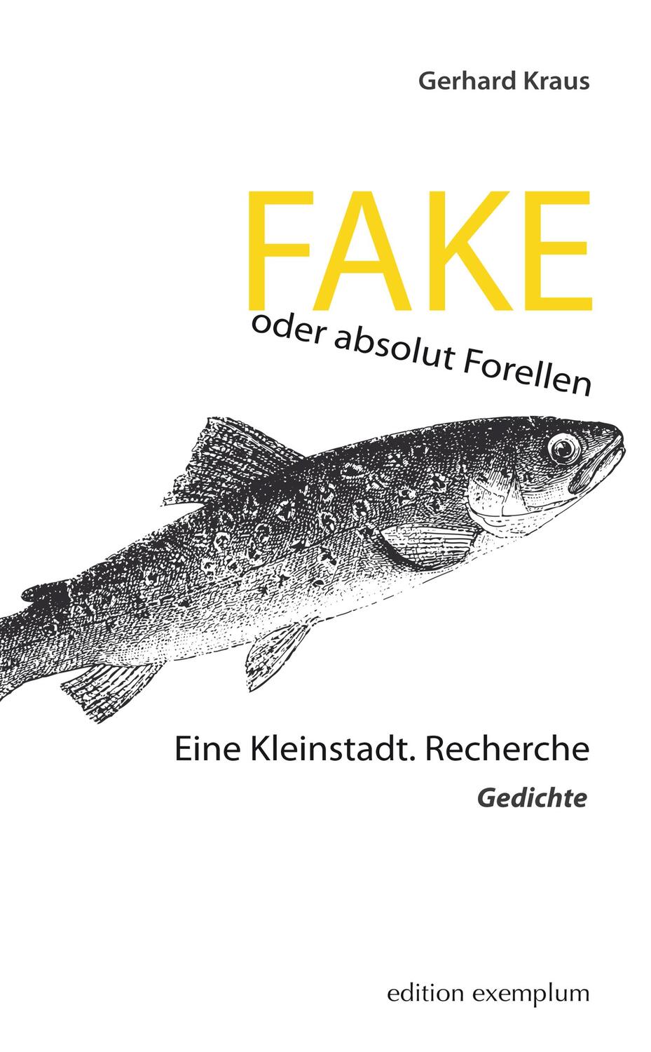 Cover: 9783745511451 | FAKE oder absolut Forellen | Eine Kleinstadt. Recherche - Gedichte