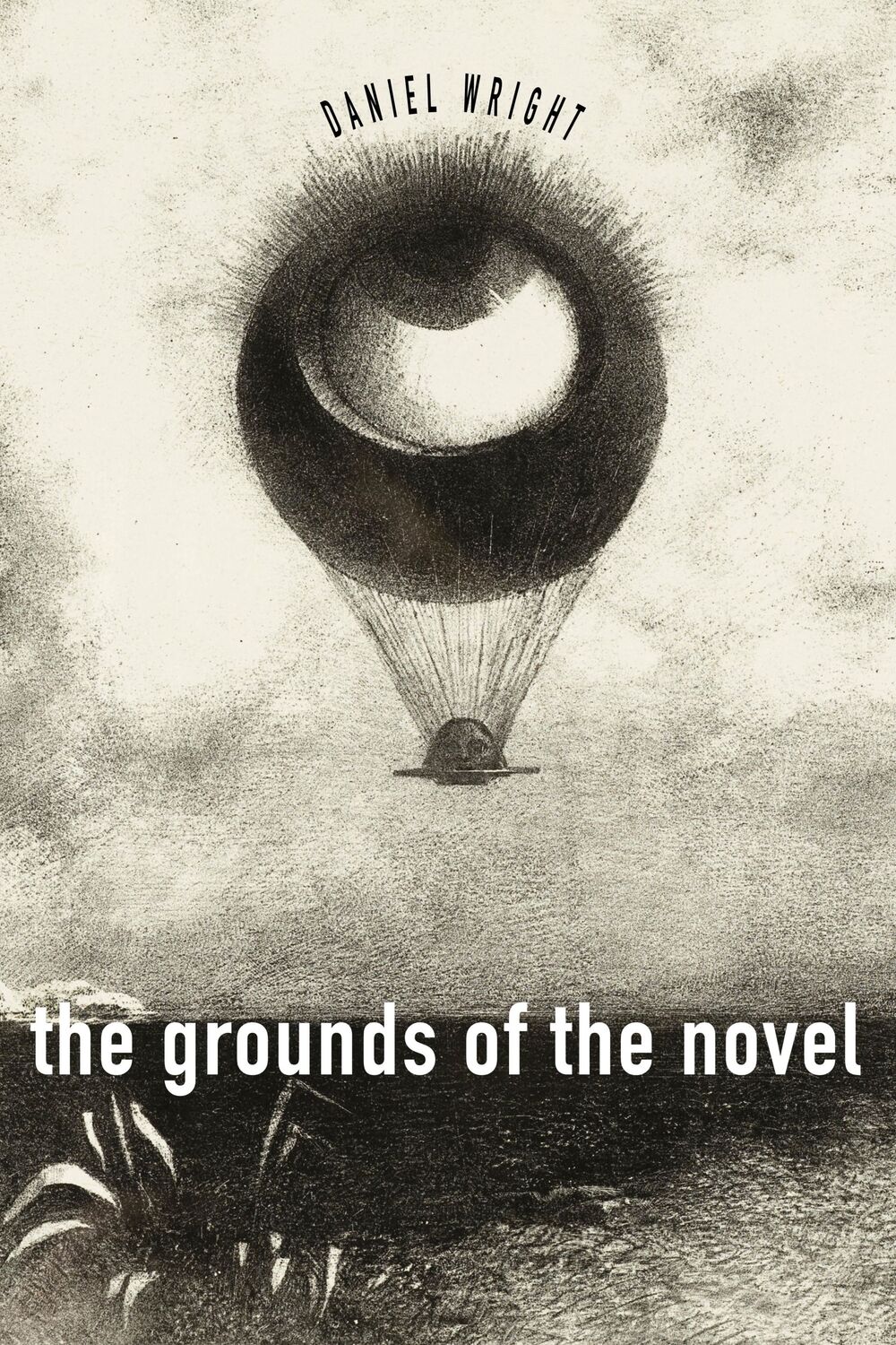 Cover: 9781503637559 | The Grounds of the Novel | Daniel Wright | Taschenbuch | Englisch