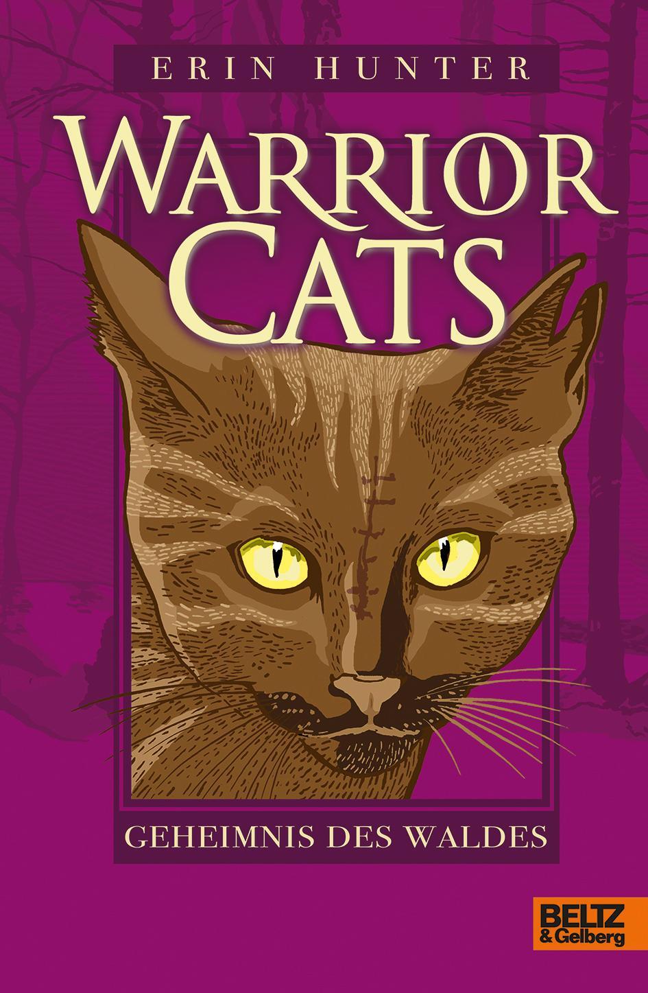Cover: 9783407823670 | Warrior Cats Staffel 1/03. Geheimnis des Waldes | Staffel I, Band 3
