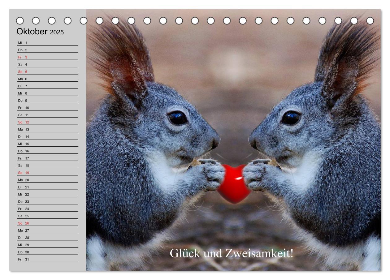 Bild: 9783435522262 | Der Freunde-Kalender (Tischkalender 2025 DIN A5 quer), CALVENDO...