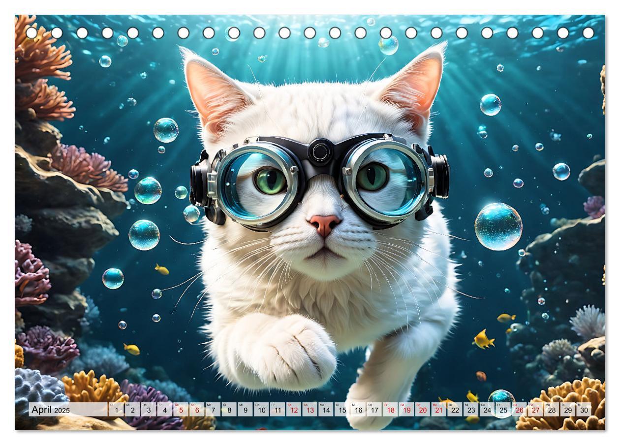 Bild: 9783383843945 | Katzen unter Wasser (Tischkalender 2025 DIN A5 quer), CALVENDO...