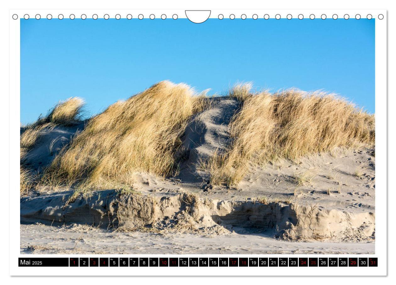 Bild: 9783435724260 | St. Peter-Ording - Natur pur (Wandkalender 2025 DIN A4 quer),...