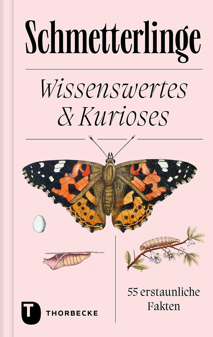 Cover: 9783799520508 | Schmetterlinge | Wissenswertes &amp; Kurioses - 55 erstaunliche Fakten