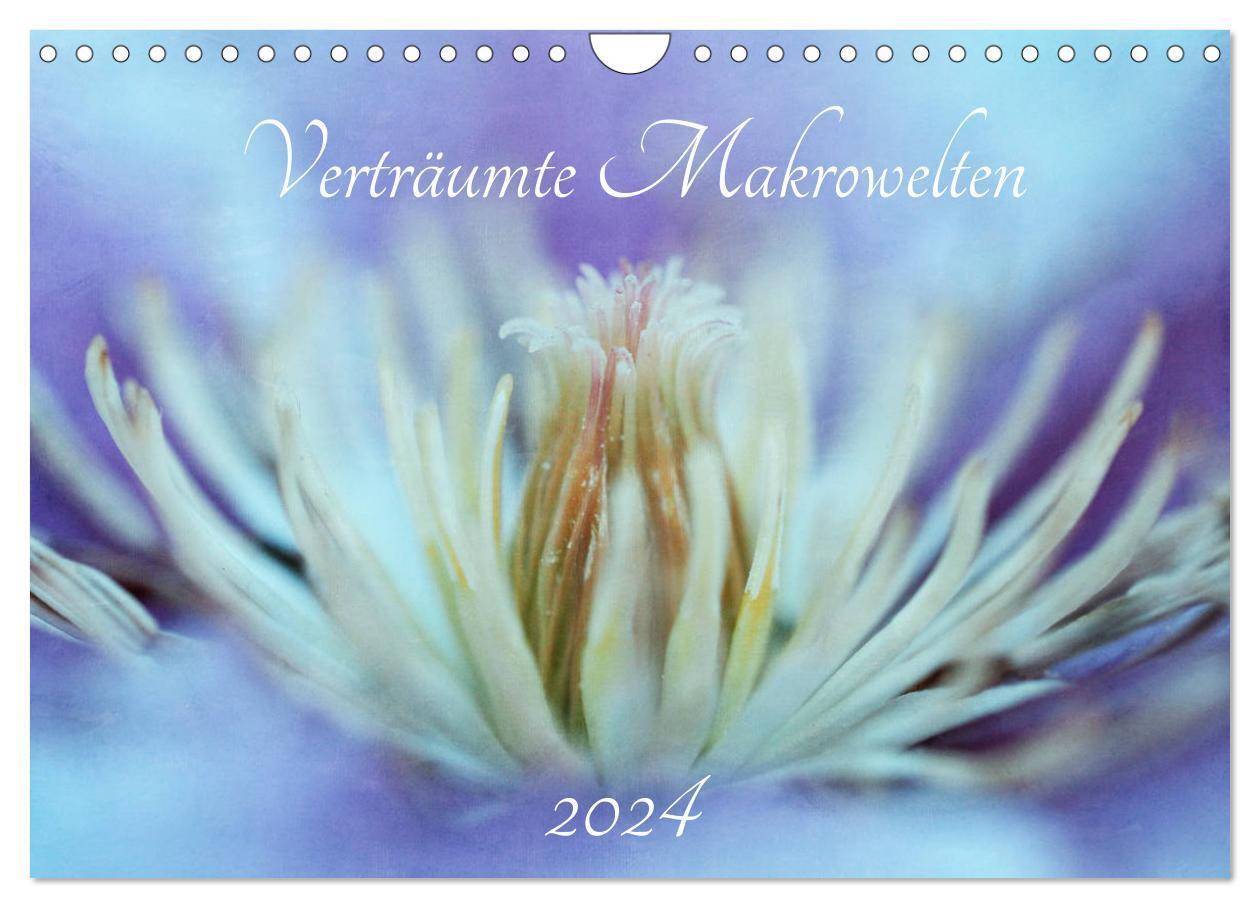 Cover: 9783675878761 | Verträumte Makrowelten (Wandkalender 2024 DIN A4 quer), CALVENDO...