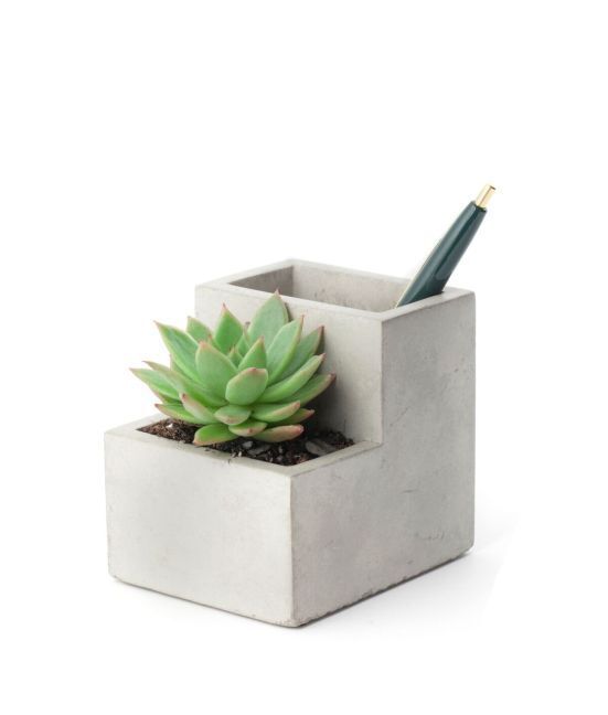 Cover: 612615075542 | Small Concrete Desktop Planter | Stück | In Schachtel | 2016