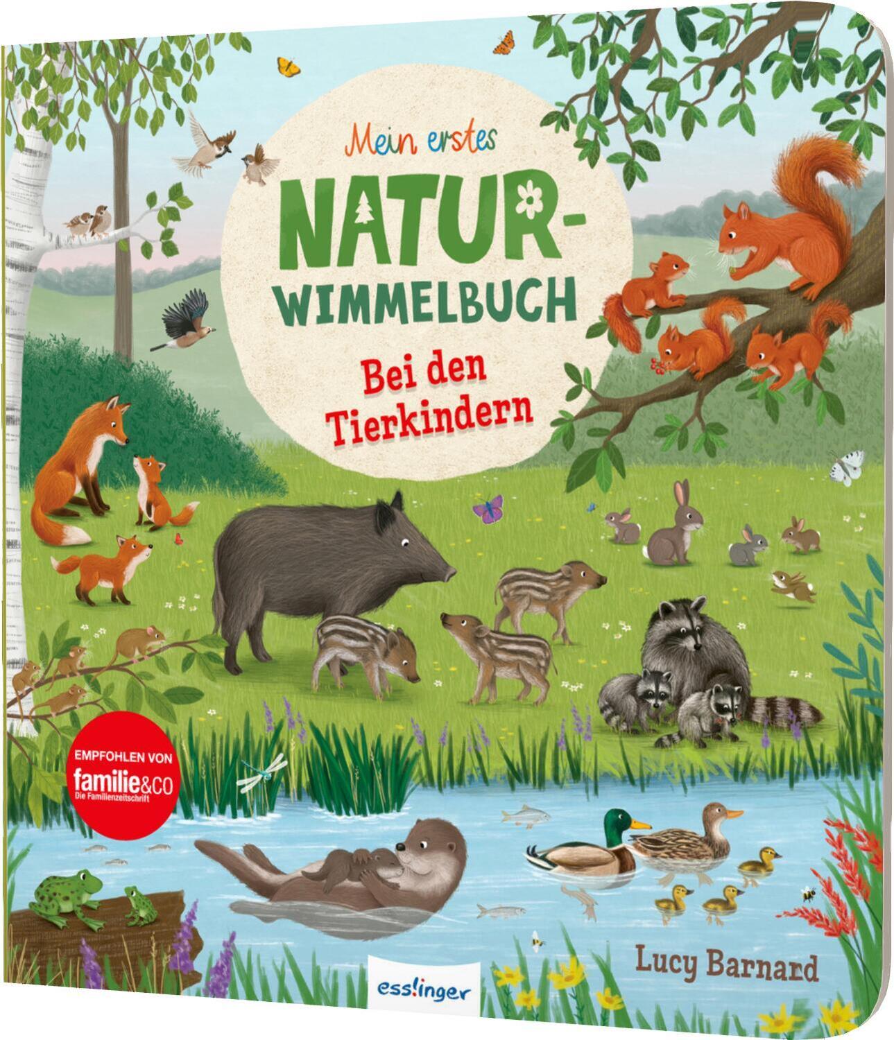 Cover: 9783480238446 | Mein erstes Natur-Wimmelbuch: Bei den Tierkindern | Sibylle Schumann