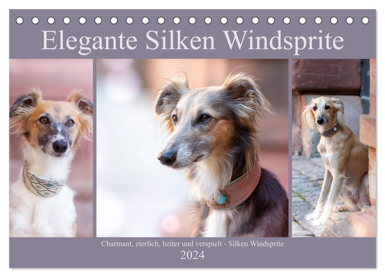 Cover: 9783383000034 | Elegante Silken Windsprite (Tischkalender 2024 DIN A5 quer),...