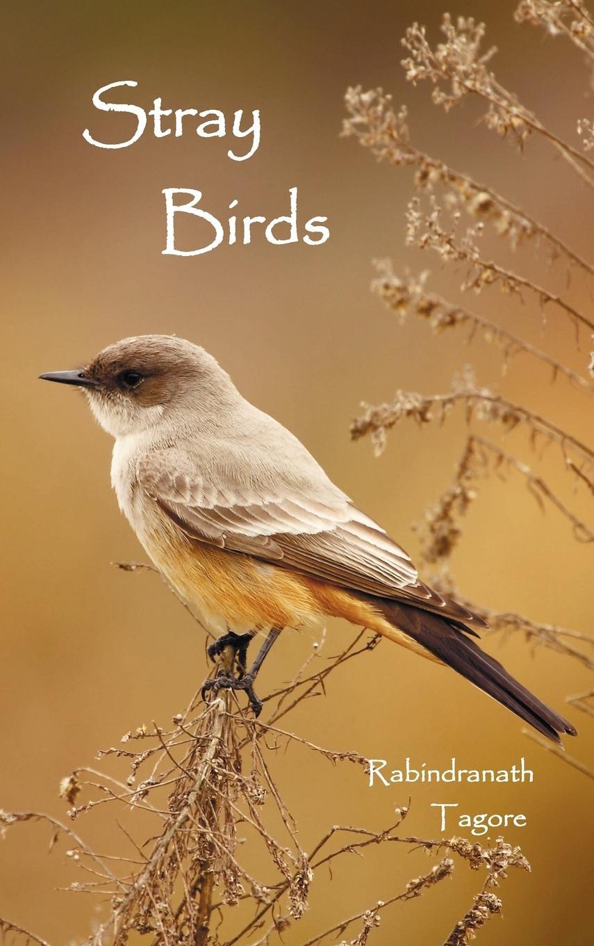 Cover: 9781781392058 | Stray Birds | Rabindranath Tagore | Buch | HC gerader Rücken kaschiert