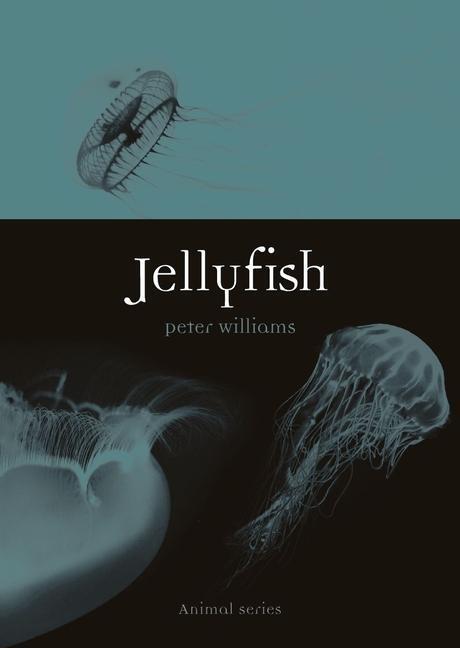 Cover: 9781789142150 | Jellyfish | Peter Williams | Taschenbuch | Animal | Englisch | 2020