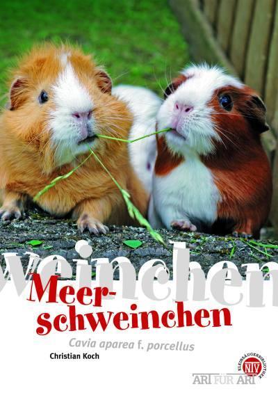 Cover: 9783866591110 | Meerschweinchen | Cavia adarea f. porcellus | Christian Koch | Buch