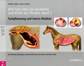 Cover: 9783877066522 | Bild-Text-Atlas zur Anatomie und Klinik des Pferdes. Bd.2 | Buch
