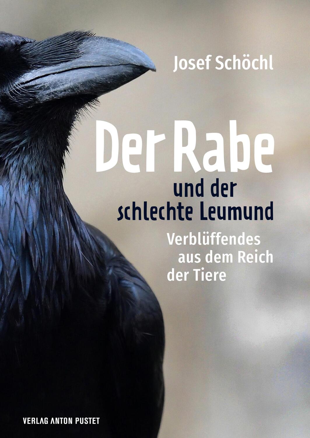 Cover: 9783702510572 | Der Rabe und der schlechte Leumund | Josef Schöchl | Buch | 160 S.