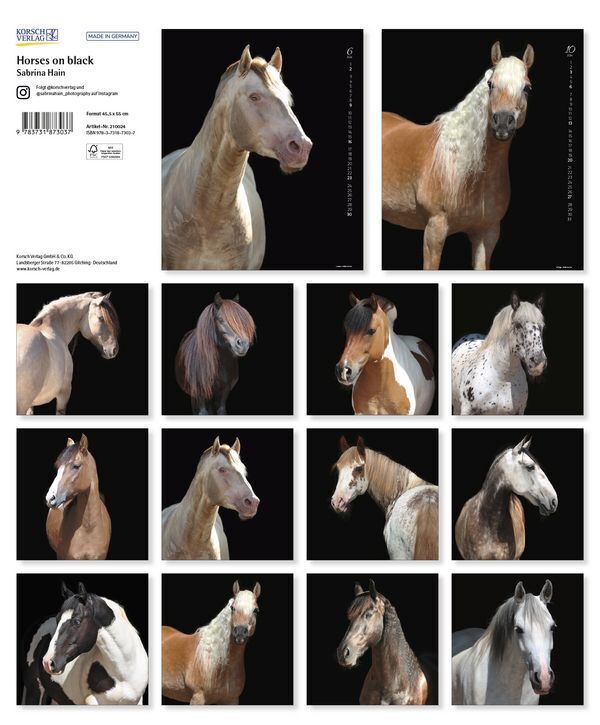 Bild: 9783731873037 | Horses on Black 2024 | Korsch Verlag | Kalender | Spiralbindung | 2024
