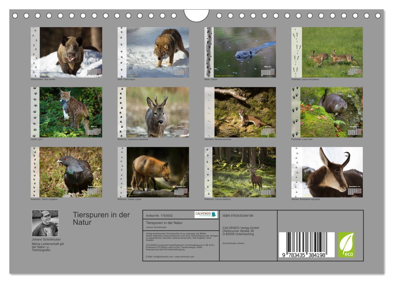 Bild: 9783435384198 | Tierspuren in der Natur (Wandkalender 2025 DIN A4 quer), CALVENDO...