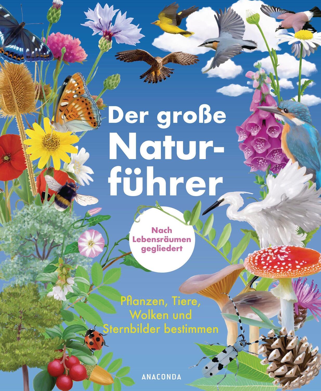 Cover: 9783730610879 | Der große Naturführer. Pflanzen, Tiere, Wolken und Sternbilder...