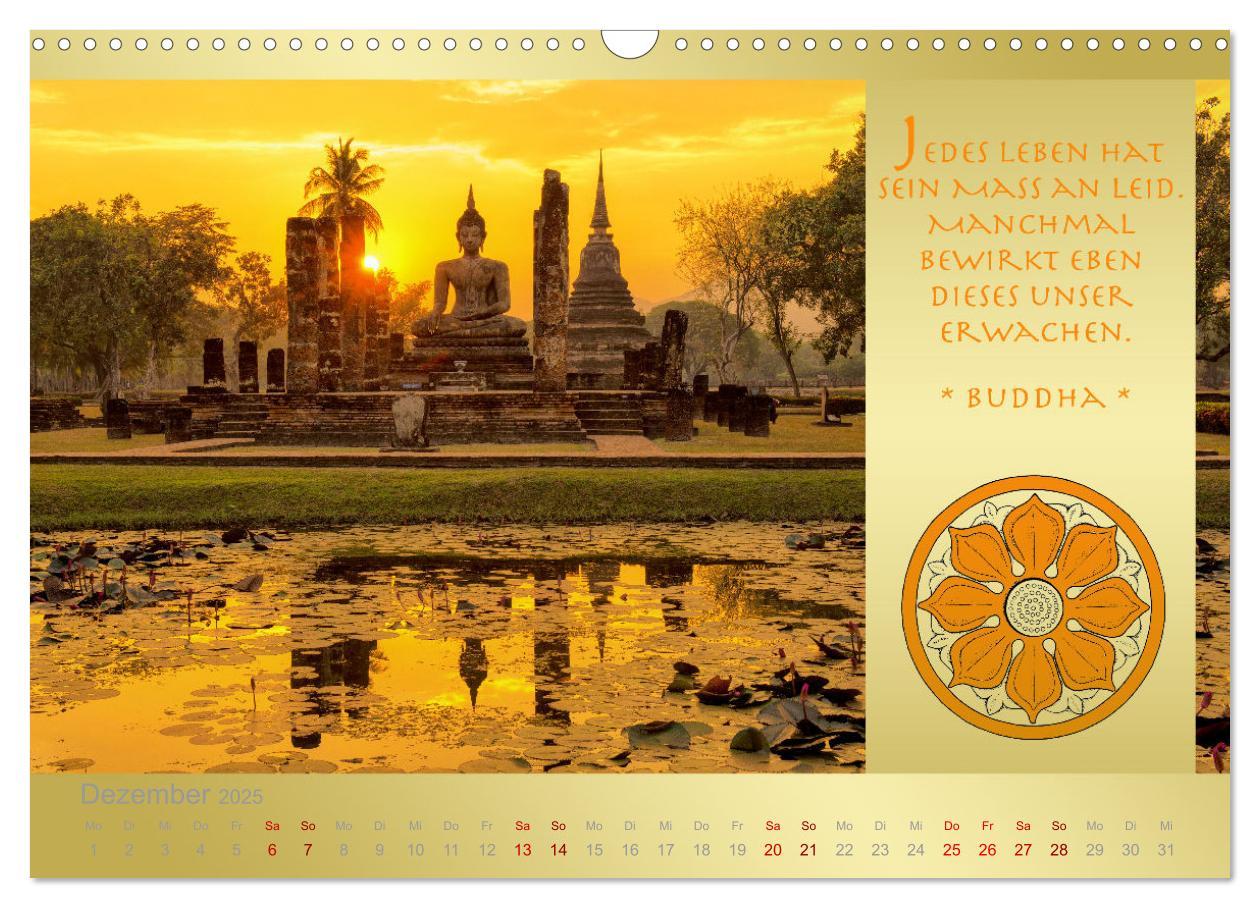 Bild: 9783435085880 | BUDDHA IM GLÜCK - Buddhistische Weisheiten (Wandkalender 2025 DIN...