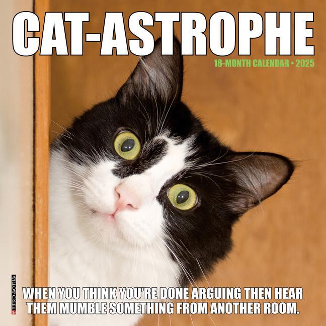 Cover: 9781549245688 | Cat-Astrophe 2025 7 X 7 Mini Wall Calendar | Willow Creek Press | 2025