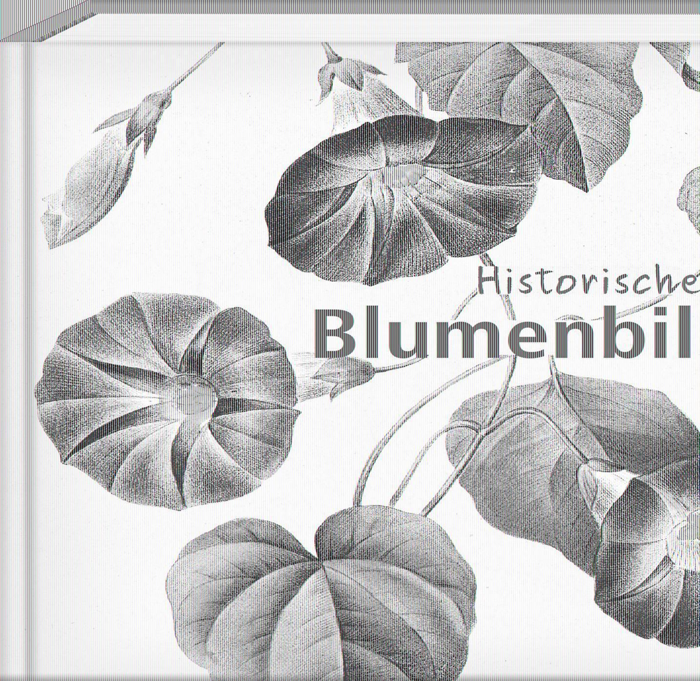 Cover: 9783957990631 | Historische Blumenbilder - Book To Go | Buch | Book To Go | 312 S.