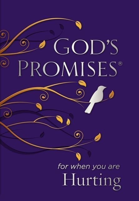 Cover: 9780718034177 | God's Promises for When You are Hurting | Jack Countryman | Buch