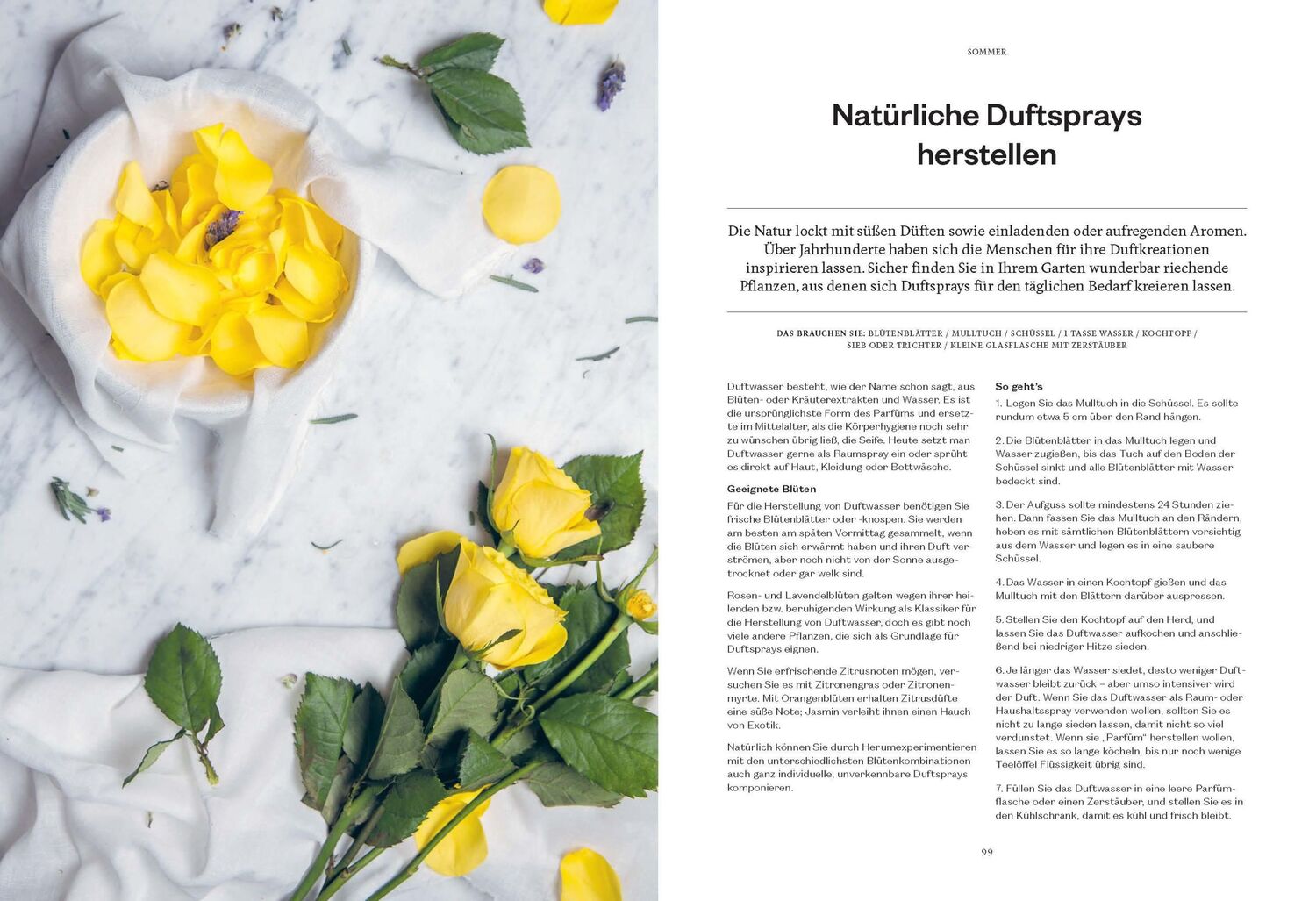 Bild: 9783841904546 | 365 Tage Natur: fühlen, schmecken, entdecken | Anna Carlile | Buch