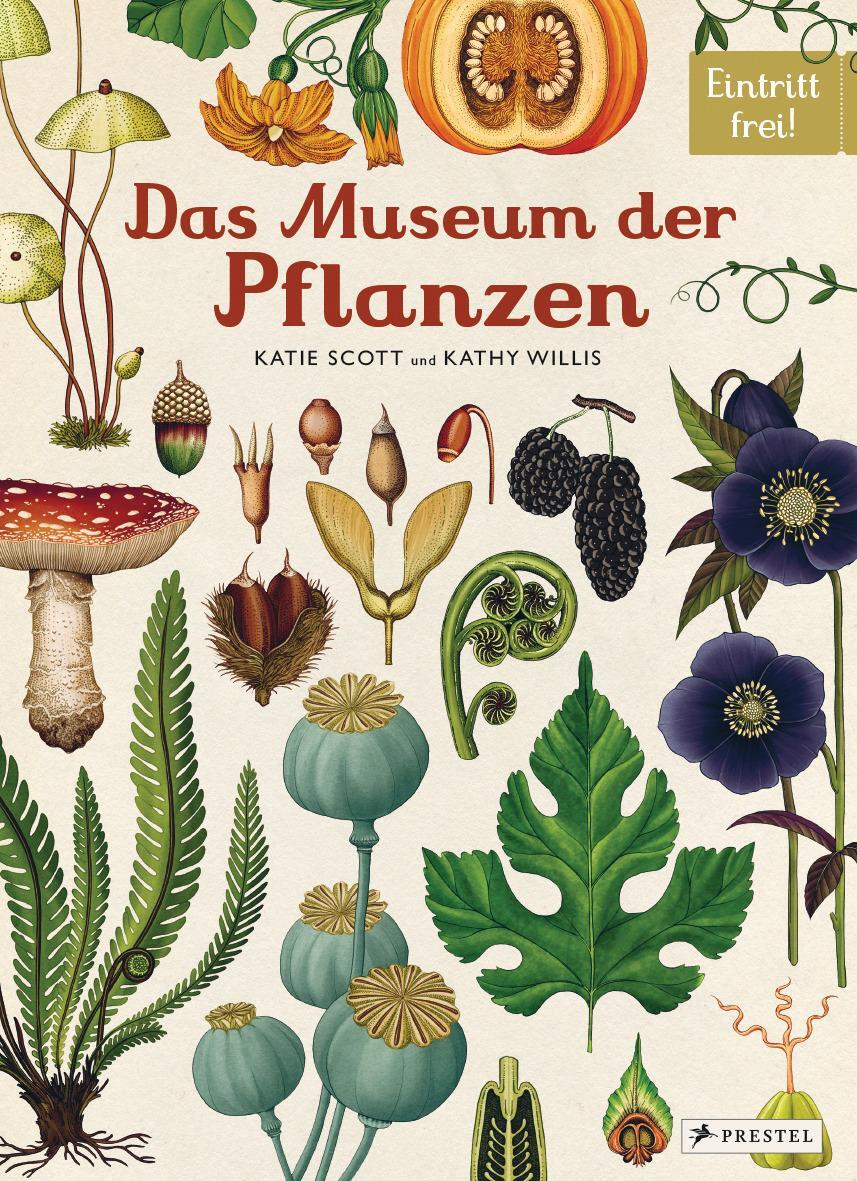 Cover: 9783791372662 | Das Museum der Pflanzen | Eintritt frei! | Katie Scott (u. a.) | Buch
