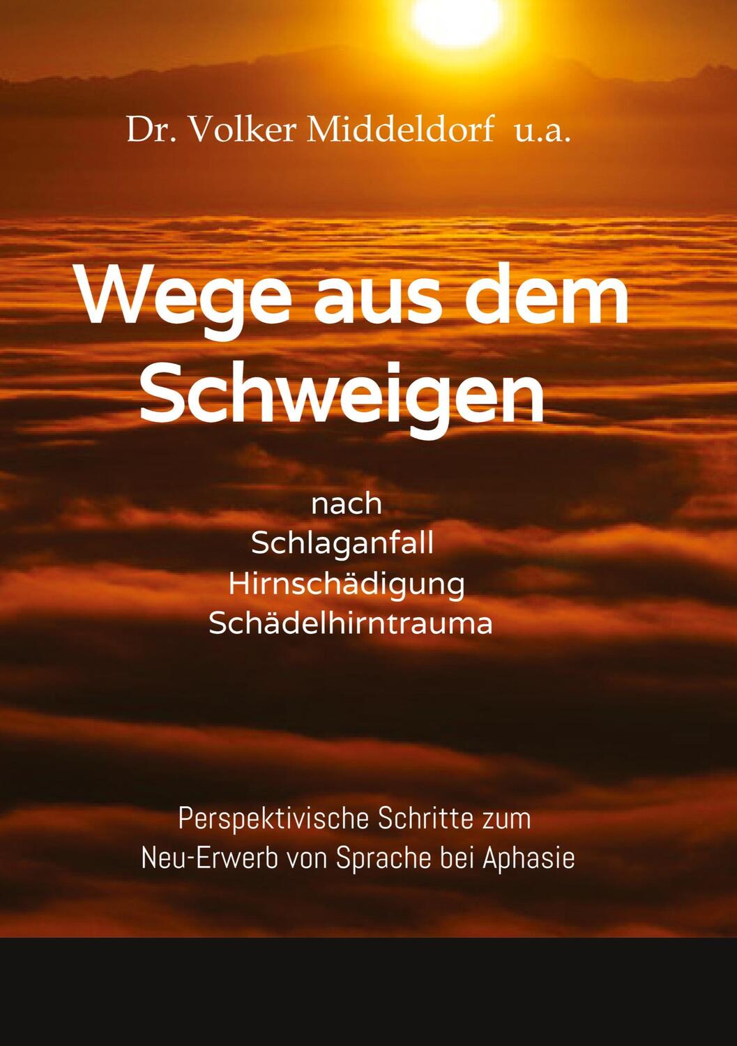 Cover: 9783384031990 | Wege aus dem Schweigen - nach Schlaganfall, Hirnschädigung,...